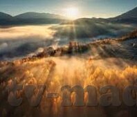 超碰成人免费视频在线观看-网络世界的灰色地带，超碰成人免费视频的诱惑与风险