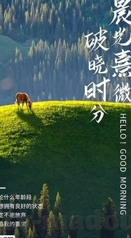 大象传媒8080有声有色-探索大象传媒8080，有声有色，文化传播的生动实践