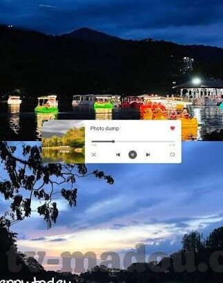 伦理小说在线阅读-伦理小说，在线阅读的道德与智慧之旅