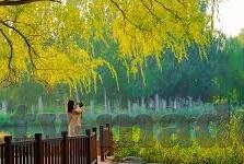 麻豆传媒综合-多维视角下的麻豆传媒综合效应分析