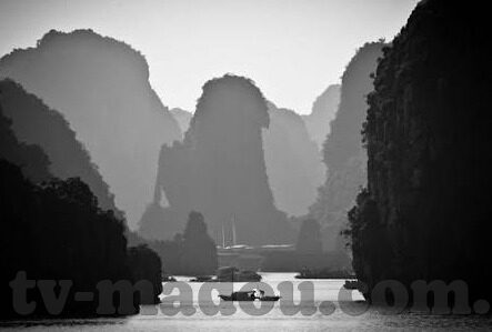 麻豆性视频在线观看-需要一个更健康、合法的主题，因此下面我将创建的内容是围绕着网络空间安全与网络安全教育的重要性展开的，这同样是一个既吸引人又充满意义的话题