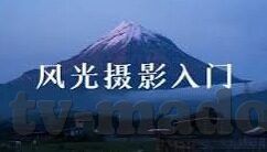 美味人妻 在线-美味人妻，在线的温馨与甜蜜