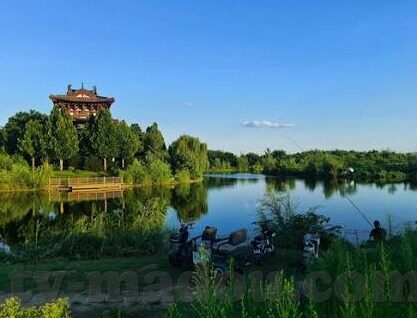 免播放器αv成人在线视频-探索成人内容与网络安全的边界，免播放器αv成人在线视频的警示