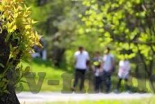 日本成人在线电影视频-探索日本成人在线电影视频的多元文化视角