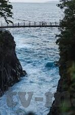日韩一区二区三区在线观看-探索日韩影视文化的多元视角，一区、二区、三区的在线体验