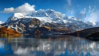 糖心app下载安卓版-体验新境界，糖心App下载安卓版深度指南